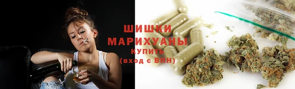 прущие грибы Белоозёрский
