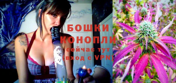 прущие грибы Белоозёрский