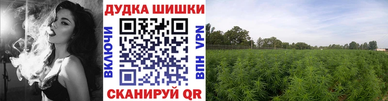 Бошки марихуана LSD WEED Горняк
